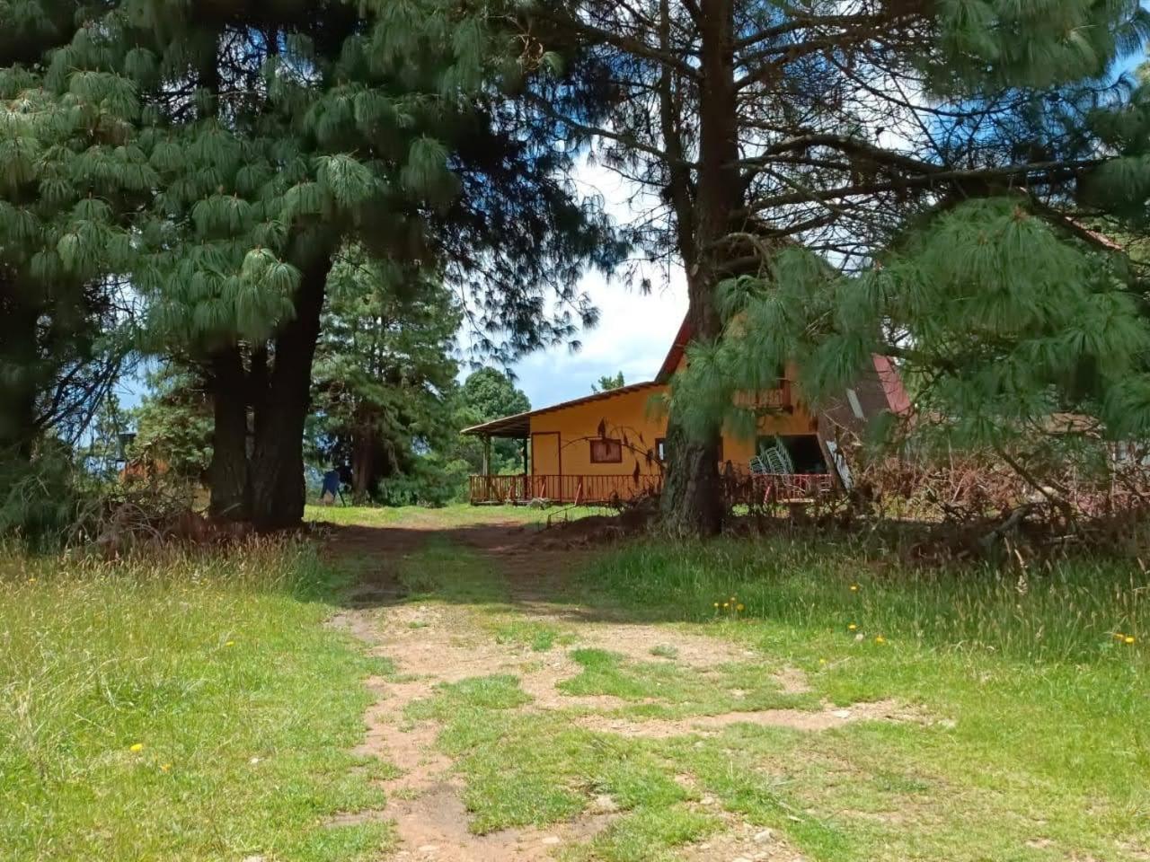 Chalets Amarelo Suesca Exteriör bild